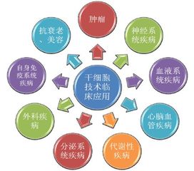 精准医疗大幕开启 未来投资机会在人体干细胞技术开发中绽放